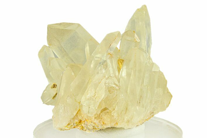 Quartz Crystal Cluster - Spruce Ridge, Washington #301258